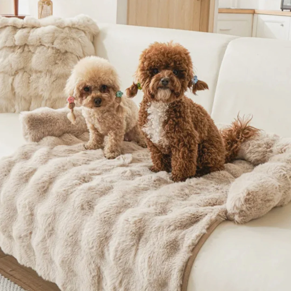 Nordisk Filt™️ – CozyFur soffskydd för hundar