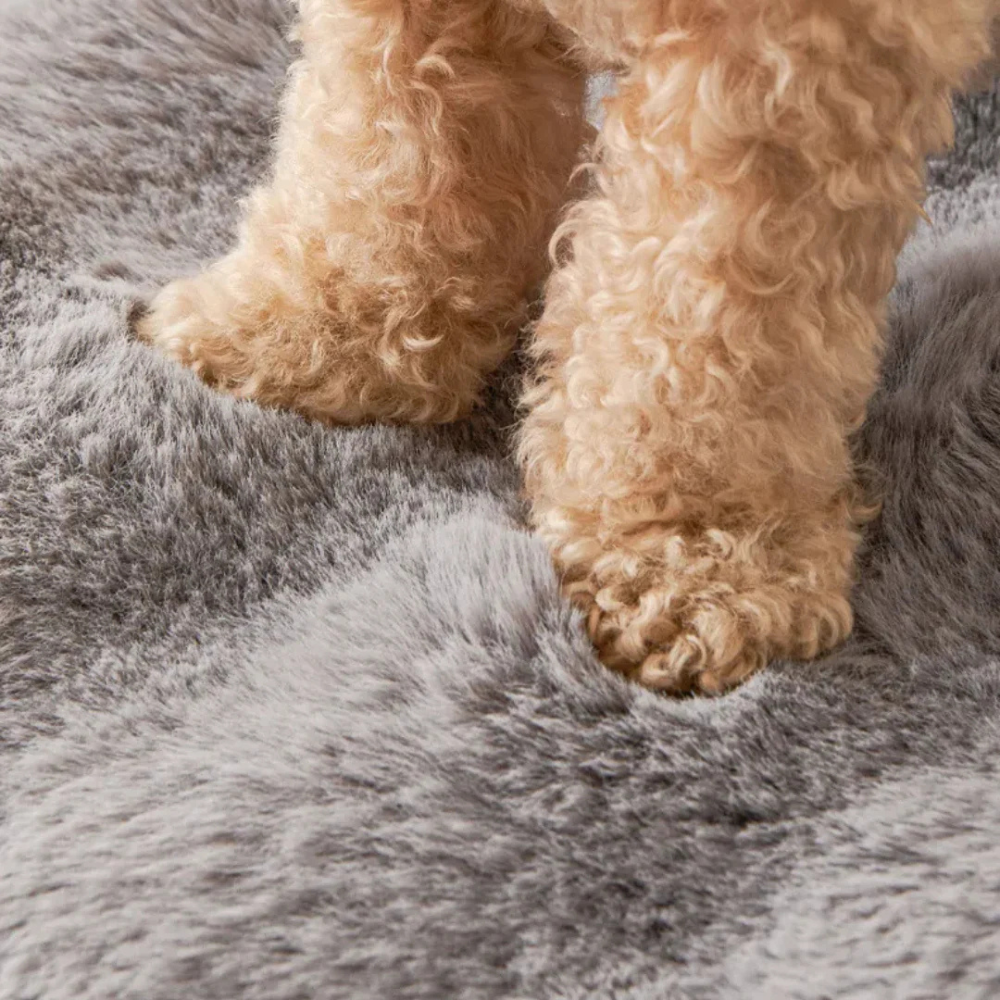 Nordisk Filt™️ – CozyFur soffskydd för hundar